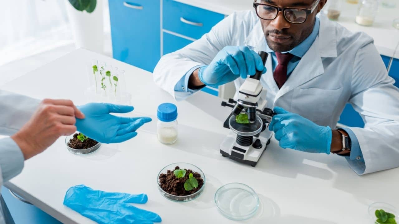 Top 9 Tips to Apply for the Biology Student Scholarships