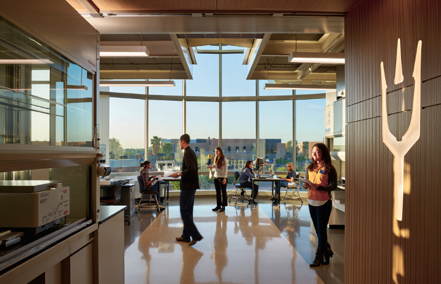 Top 5 Unique Arizona State University Scholarships for Underrepresented Students