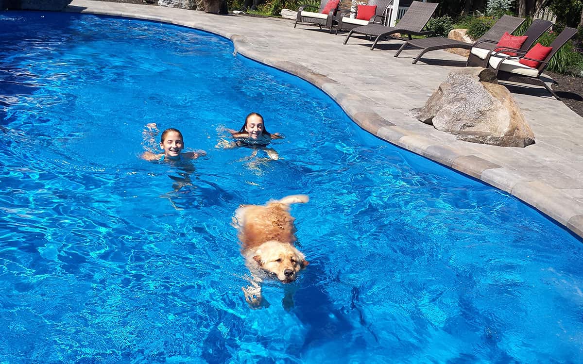 DIY vs. Professional Installation: Setting Up Your Pool Filtration System